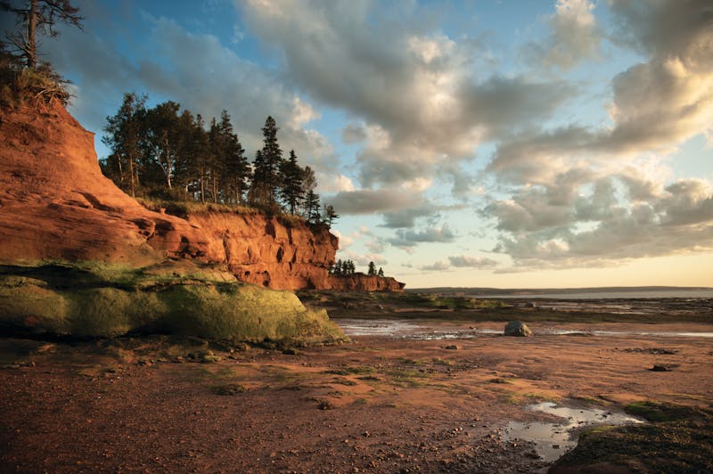 Burntcoat Head Bay of Fundy - ©Scott Munn