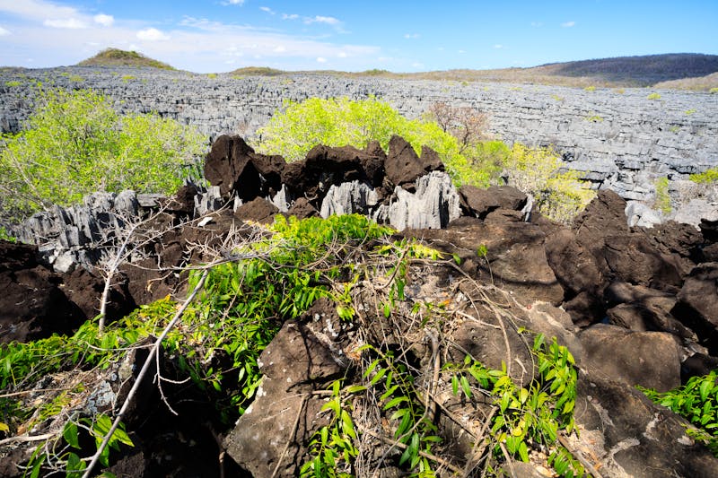 Ankarana Nationalpark - ©©ArtushFoto - stock.adobe.com