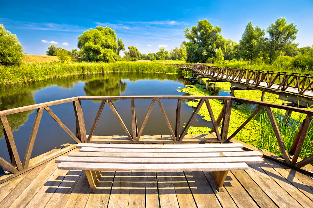 Kopacki Rit marshes nature park bird observation deck and wooden boardwalk &ndash; &copy; xbrchx - stock.adobe.com
