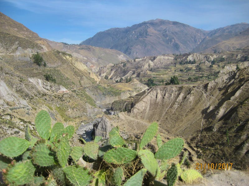 129_Das Colca Tal - Anbaukultur auf Terrassen - ©Johanna Schilling