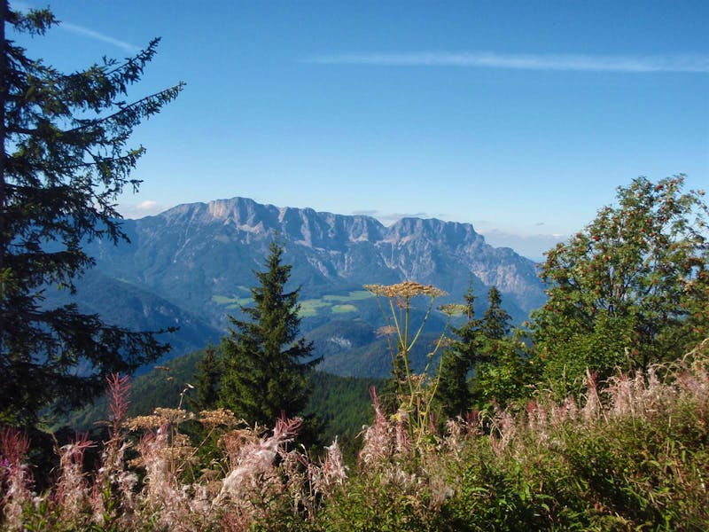 das Panorama auf der Rossfeld-Höhenstraße - ©Pauline Gehrmann-Golomer