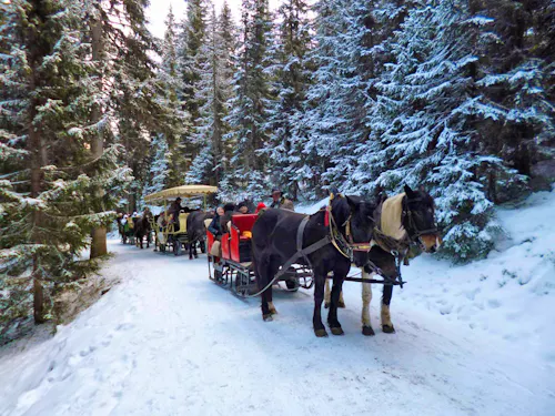 Pferdeschlittenfahrt am Katschberg &ndash; &copy; Eberhardt TRAVEL