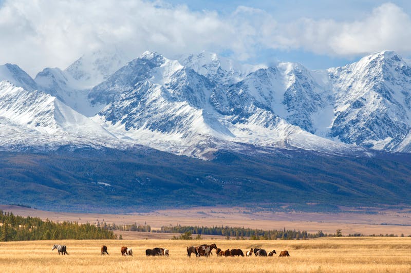 Altai-Gebirge - &copy;Fotokvadrat - stock.adobe.com