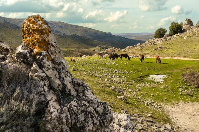 Barbarenland bei Orgosolo auf Sardinien - ©©Alessio Orrù - stock.adobe.com