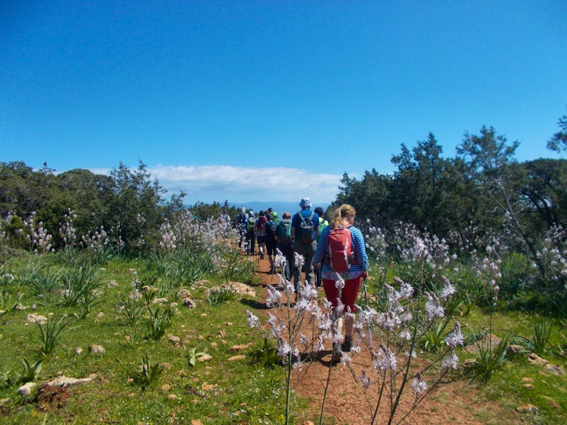 Aphrodite Trail auf der Akamas-Halbinsel - ©Kerstin Veit