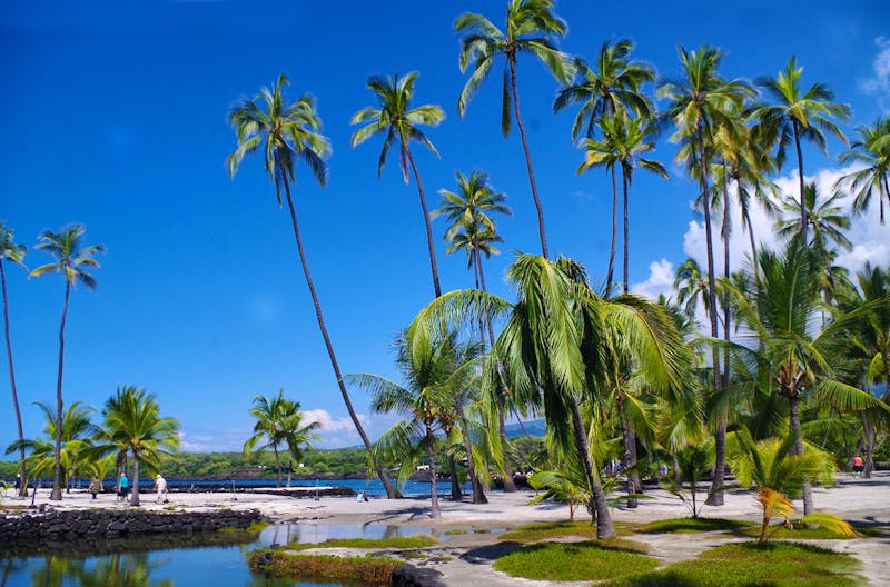 Landausflug in Kona - Big Island - ©Eberhardt TRAVEL