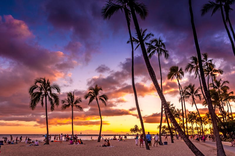 Sonnenuntergang am Waikiki Beach auf Oahu - ©©Jeff Whyte - stock.adobe.com