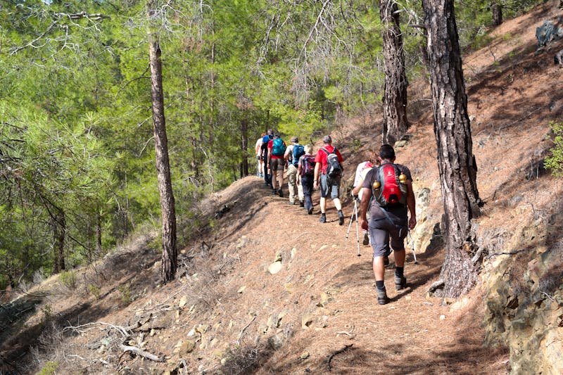 Wanderung im Kiefernwald des Troodosgebirges - ©Eberhardt TRAVEL