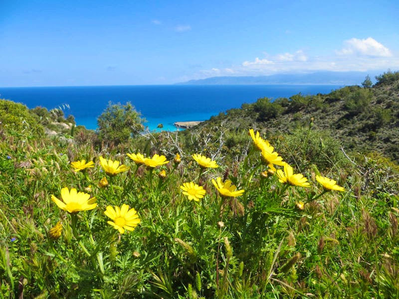 Akamas Halbinsel - ©Eberhardt TRAVEL