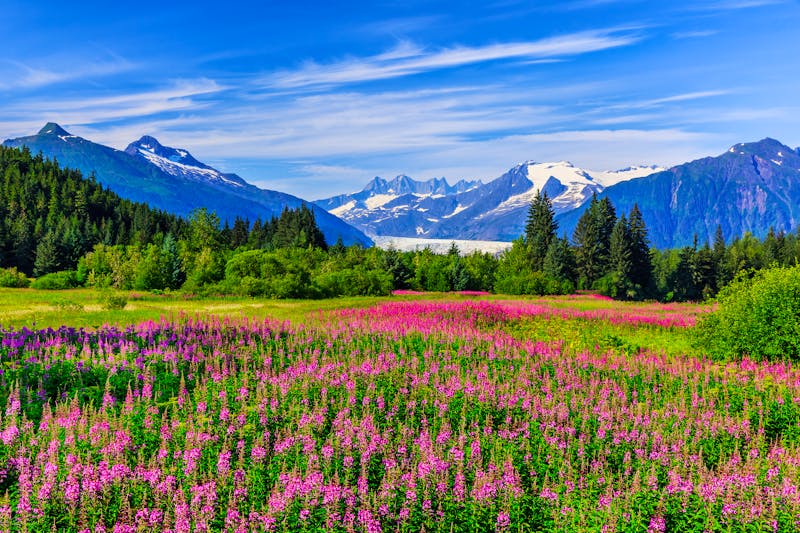 Landschaft bei Juneau in Alaska - ©©emperorcosar - stock.adobe.com
