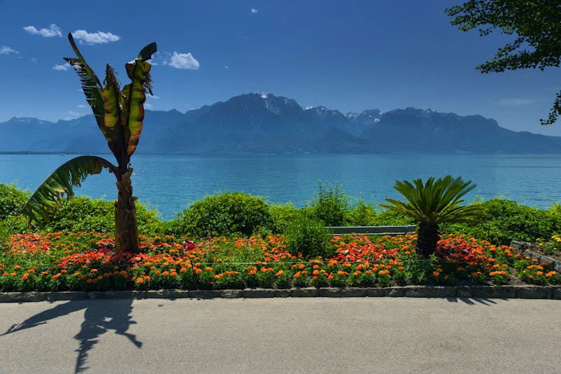 Montreux im Schweizer Kanton Waadt, Genfer See, Genf, Schweiz - ©franzeldr - stock.adobe.com