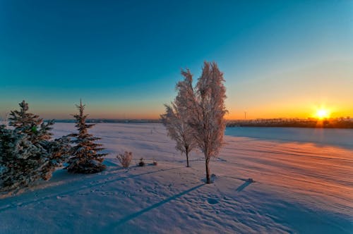 Zimmerblick &ndash; &copy; Hotel Meerane GmbH & Co. KG