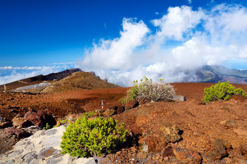 Haleakala Vulkan Region auf Maui - Hawaii - ©©MNStudio - stock.adobe.com