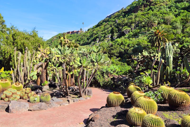 Botanischer Garten auf Gran Canaria - ©©Tupungato - stock.adobe.com