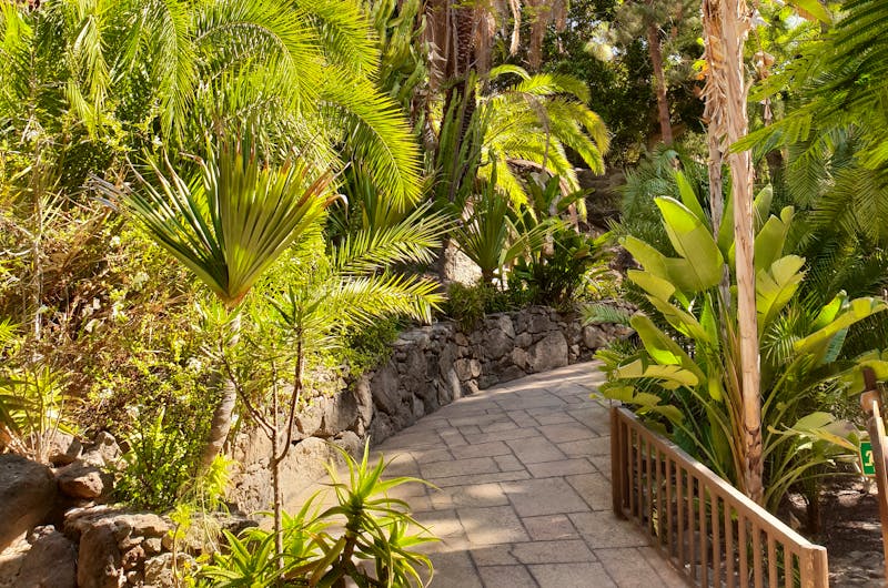 Palmitos Park - Gran Canaria - ©©annacovic - stock.adobe.com