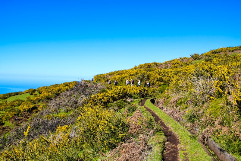 Paul da Serra - Levada Wanderung - ©romanple - stock.adobe.com