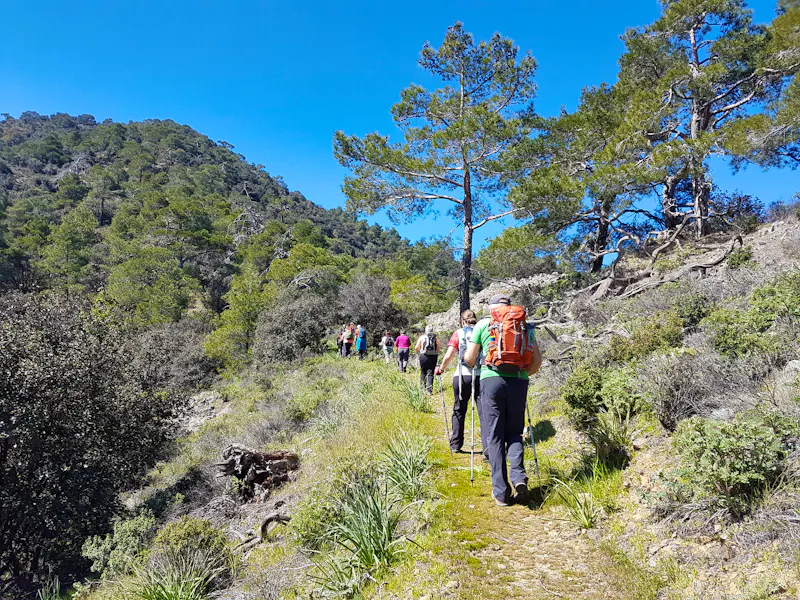 Wanderung im Troodosgebirge - &copy;Eberhardt TRAVEL