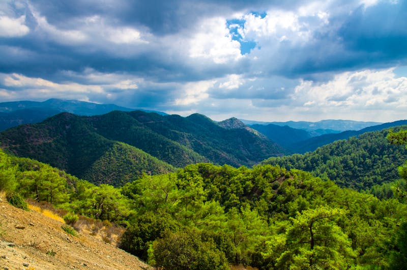 Troodosgebirge - Olympos - ©©Aliaksandr - stock.adobe.com