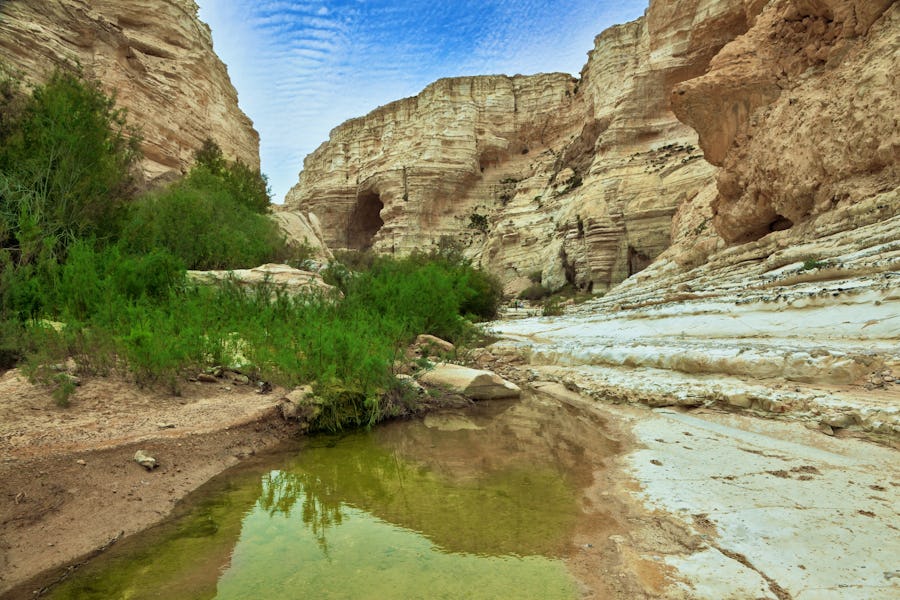 Ein Avdat Nationalpark – © Kushnirov Avraham - stock.adobe.com