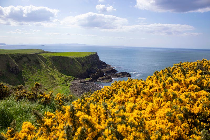 Giants Causeway - ©Dirk Schlosser