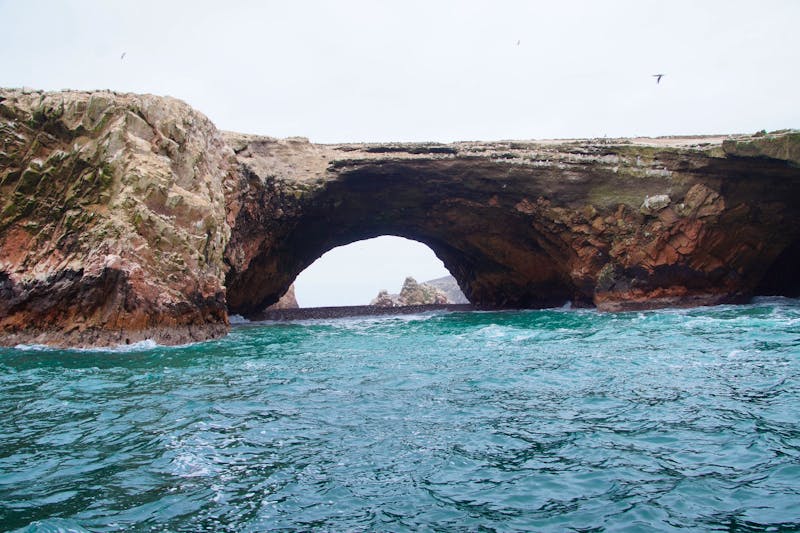 Die Ballestas-Inseln haben ihren Namen von diesen Bögen  - ©Andreas Böcker