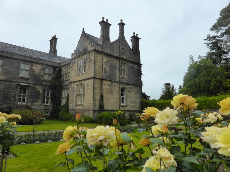 Killarney Nationalpark - Rosengarten am Muckross House - ©Claudia Bernhardt