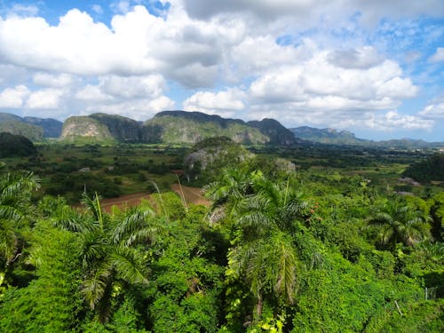 Die Mogotes im Tal von Vinales &ndash; &copy; Elke Knappe