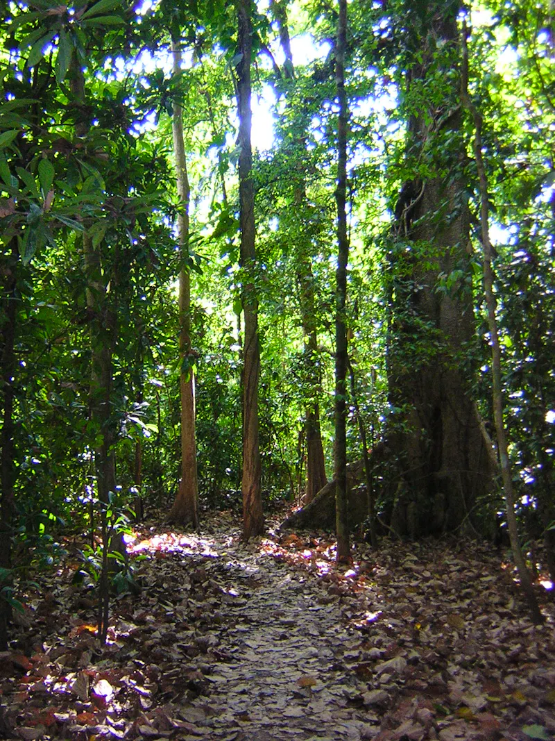 Carara Nationalpark - &copy;Swiss Travel
