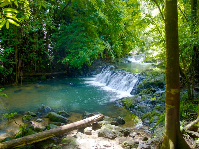 Corcovado Nationalpark  - ©Marc Tschallen