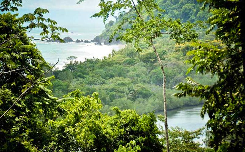Corcovado Nationalpark  - ©https://www.villasriomar.com/dominical-uvita/tours/corcovado-national-park/