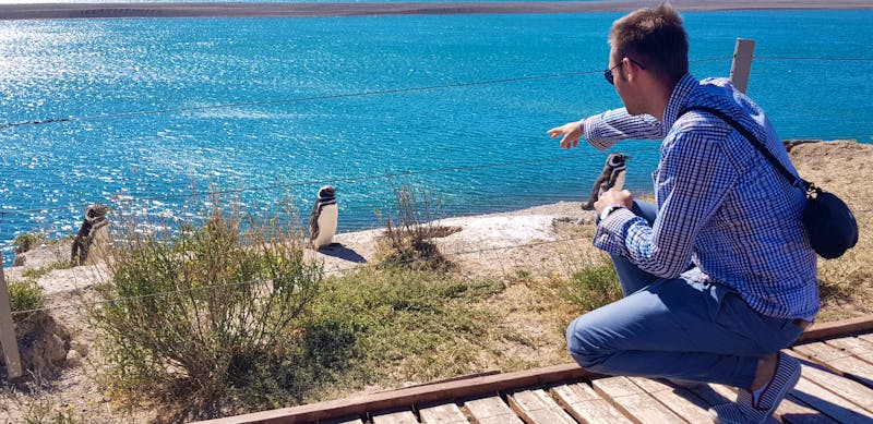 Halbinsel Valdes - Magellan Pinguine - ©Eberhardt TRAVEL