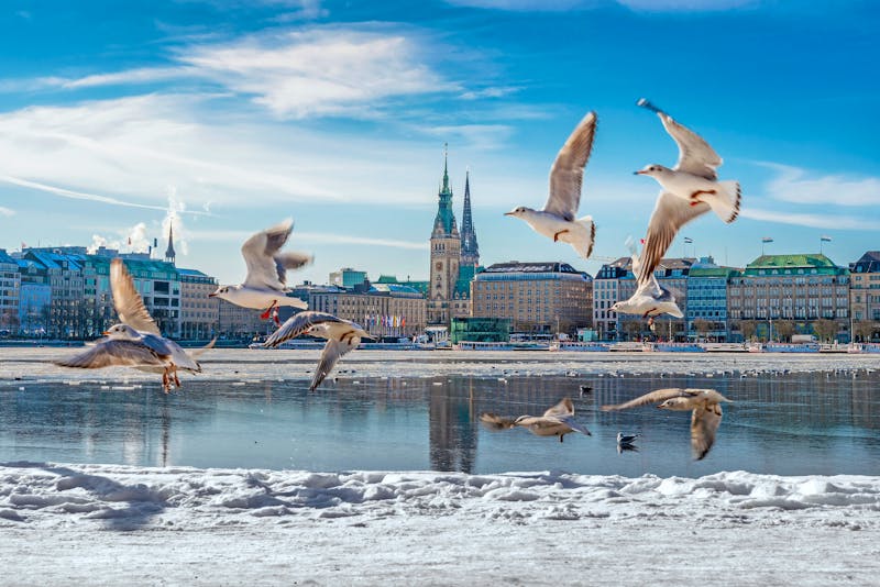 Hamburger Alster Winter - ©Alexander Kassner Alex K. Media - Adobe Stock