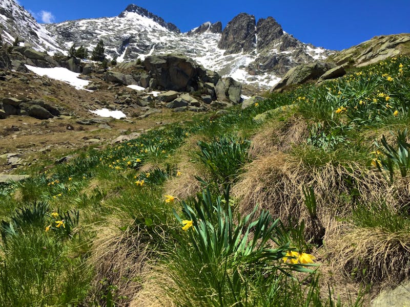 Im Nationalpark Aigüestortes - ©Eberhardt TRAVEL