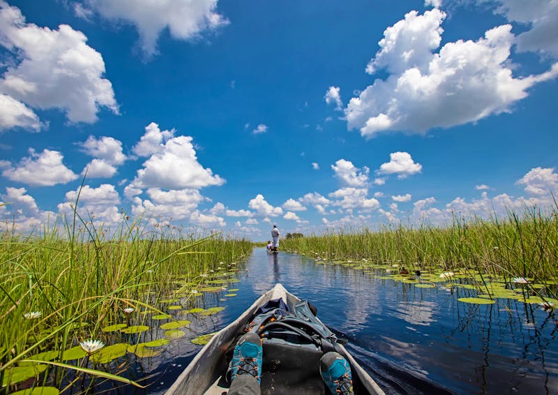 Landschaft des Okavango Delta, Botswana - ©Five-Birds Photography / Dirk Fritsche