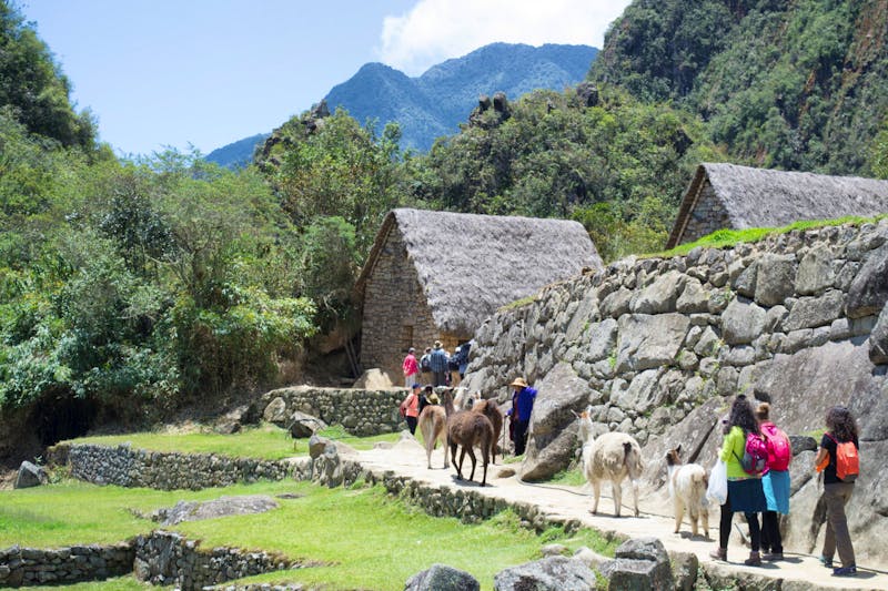 Besuch der Inkafestung Machu Picchu - ©Eberhardt TRAVEL