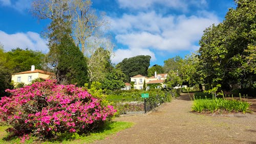 Palheiro Gardens auf Madeira &ndash; &copy; Eberhardt TRAVEL