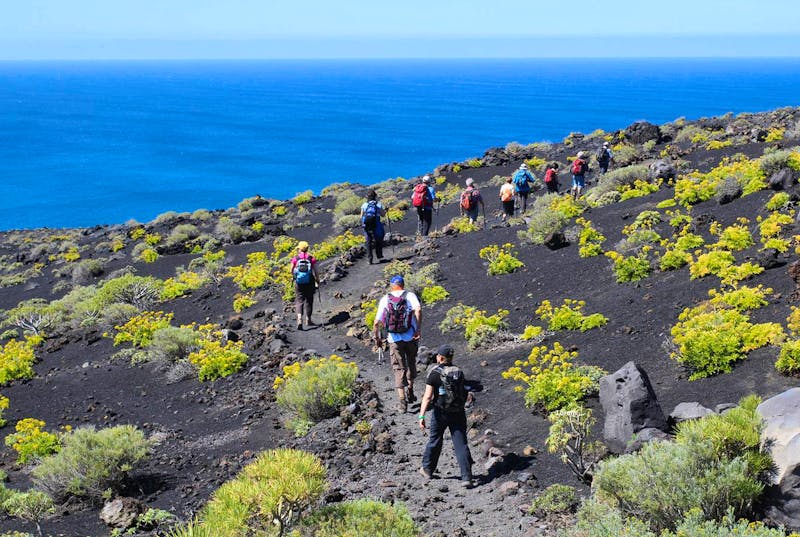 Vulkan-Wanderung im Süden von La Palma - ©Eberhardt TRAVEL