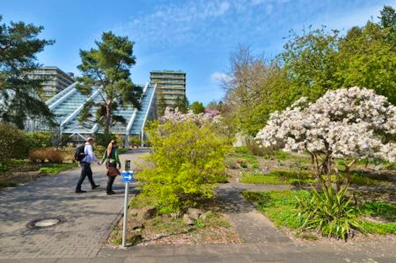 Botanischer Garten – © Stadt Bochum, Presseamt