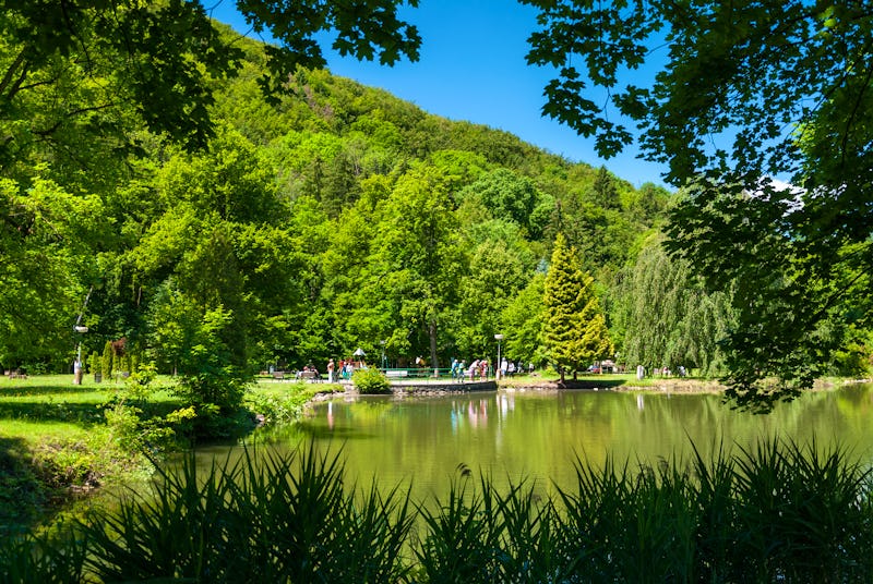 Kurpark in Trencianske Teplice - Trentschin-Teplitz - Kurort in der West-Slowakei – © ©Mato Križik - stock.adobe.com