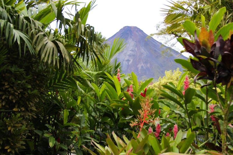 Regenwald mit Vulkan, Costa Rica - ©papijoe - stock.adobe.com