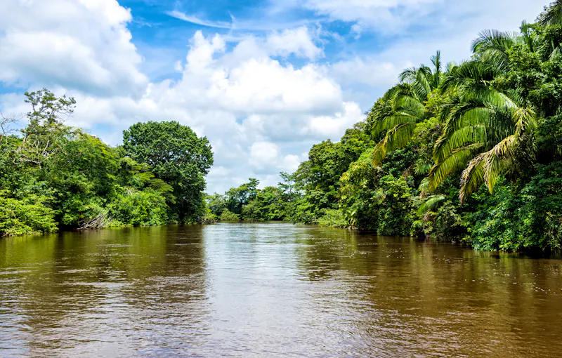 Der Río Frío  im Costa Ricanischen Regenwald. - &copy;tomalu - stock.adobe.com