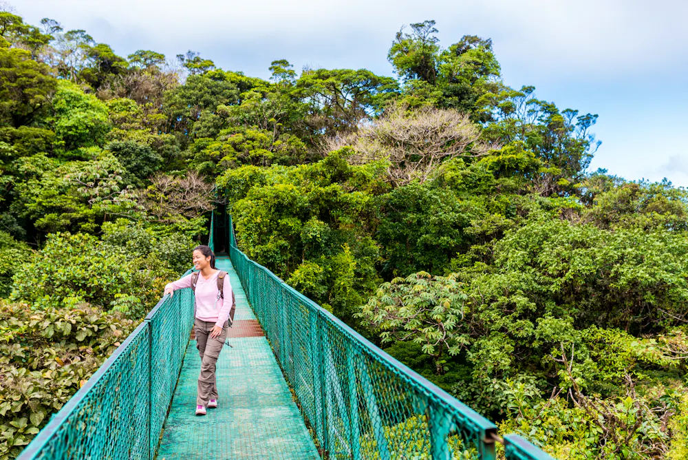 Hängebrücke im Biologischen Reservat Monteverde , Costa Rica &ndash; &copy; Simon Dannhauer - stock.adobe.com