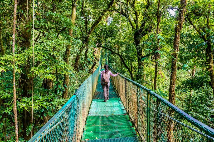 Hängebrücke im Biologischen Reservat Monteverde , Costa Rica – © Simon Dannhauer - stock.adobe.com