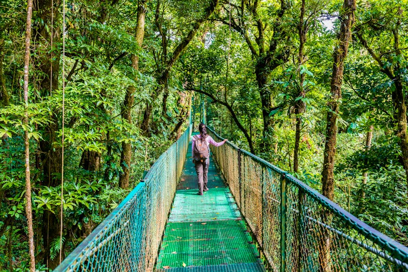 Hängebrücke im Biologischen Reservat Monteverde , Costa Rica - ©Simon Dannhauer - stock.adobe.com