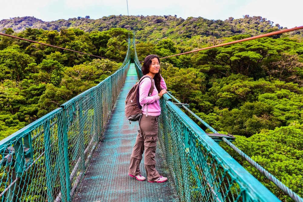 Hängebrücke im Biologischen Reservat Monteverde , Costa Rica &ndash; &copy; Simon Dannhauer - stock.adobe.com