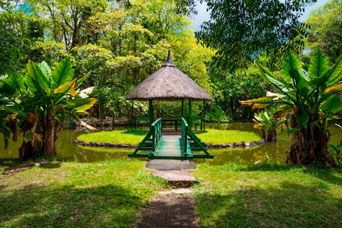 Botanischer Garten Pamplemousses, Mauritius &ndash; &copy; Tomasz - stock.adobe.com