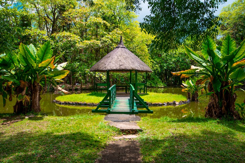 Botanischer Garten Pamplemousses, Mauritius - ©Tomasz - stock.adobe.com