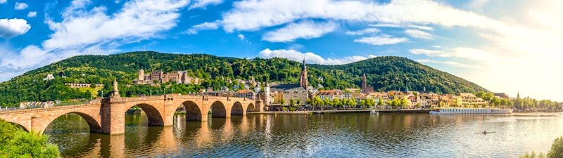 Heidelberg Panorama, deutschland - ©pure-life-pictures - stock.adobe.com