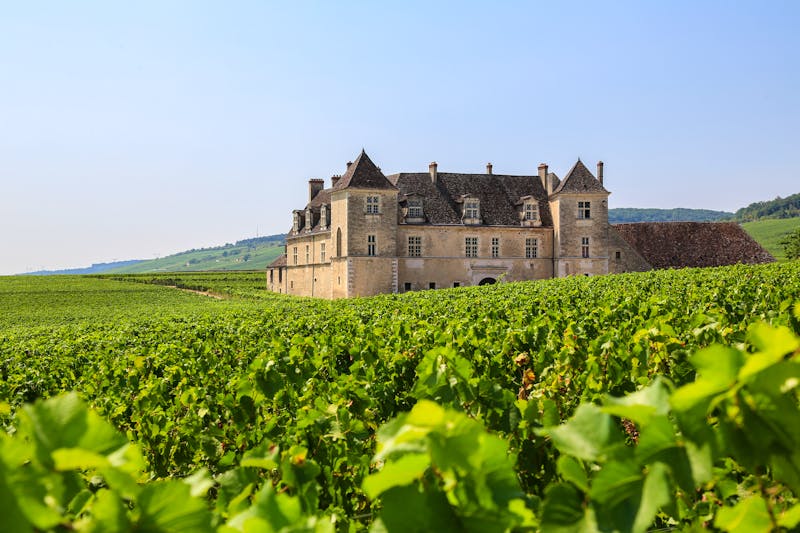 Weinbaugebiet Burgund: Weinberge und das berühmte Schloss Clos de Vougeot - ©blickwinkel2511 - stock.adobe.com