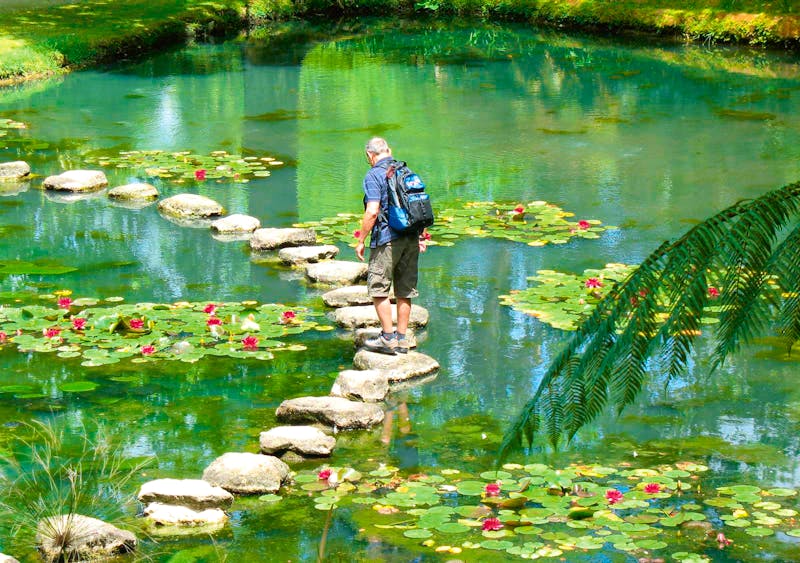 Botanischer Garten Terra Nostra auf Sao Miguel - ©Eberhardt TRAVEL